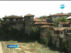 „Гларусите” превземат Балкана през лятото