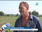 Родните земеделци: Ще гладуваме тази зима
