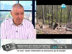 Проф. Константинов: Фирми на Семков изсичат горите в Лютаково