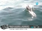 Рибари на война с делфините