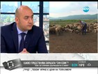 Земеделският министър: Ситуацията със „син език” е драматична