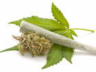 Колорадо е вторият щат по процент на употребяващи марихуана