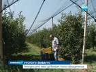 Земеделците вече могат да искат обезщетения заради руското ембарго