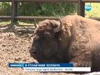 Още едно животно почина в столичния зоопарк
