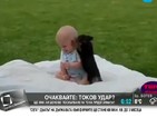 От Vbox7: Любовта между бебета и кучета