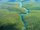Обезлесяването на Амазония се е увеличило с една трета