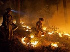 Горски пожар бушува в Калифорния, 12 000 къщи са заплашени от огъня