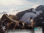 В Швейцария откриха първия висящ мост