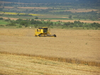 НСИ: Цените на селскостопанската продукция намаляват