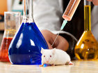 Изследванията с мишки могат да се окажат безполезни