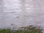 В Ямбол вероятно ще въведат режим на водата