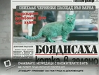 В печата: Боядисаха котка в зелено