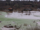 МОСВ: Има риск от наводнения през следващите дни