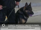 В САЩ купуват бронирани жилетки на полицейските кучета