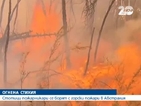 Четвърти ден продължава борбата с горските пожари в Австралия