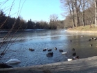 Лед скова езеро в Благоевград