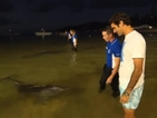 Федерер се зареди с настроение в компанията на делфини