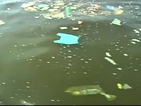 Боклук и вода от отходни канали в залива Гуанабара