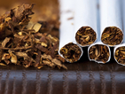 Договориха разпределението на ставките в сектор "Тютюн"