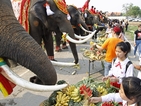 Как Тайланд празнува Деня на слона