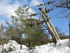 Възстановиха тока в над 100 населени места в Родопите