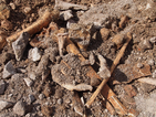 Археолози намериха скелет в разкопките в центъра на Варна