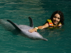 "Без багаж": Игра с делфини в Балийско море