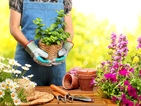 Градинарството - ключ към дълголетието
