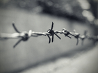 Румъния съди командир на трудов лагер за смъртта на 103 затворници
