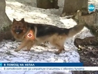Можем да изпратим спасители с обучени кучета в Непал