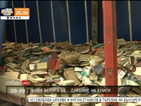 Дупничани правят жива верига за пренасяне на дарени книги