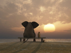 В Тайланд слон си направил селфи
