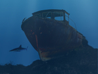 Откриха античен кораб на дъното на Черно море