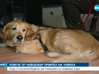 Още 11 кучета-водачи ще помагат на незрящи хора