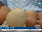 Българска щастлива кокошка снесе 185-грамово яйце