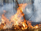 Пожар гори близо до Рилския манастир