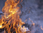 Стотици се борят с огъня в Рила (ОБЗОР)