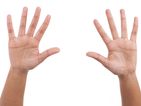 Човешката ръка е по-примитивна, отколкото на шимпанзетата