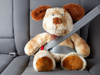 Как да возим безопасно деца в автомобила?