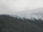 Потушен е пожарът до Бобошево