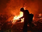 Стотици бяха евакуирани в Калифорния заради пожари