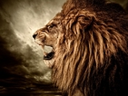 Бриджит Бардо призова Бан Ки-мун за спешни мерки след отстрела на лъва Сесил