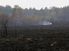Отново пожар в района на Чернобил