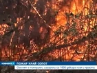 Потушен е пожарът край Сопот