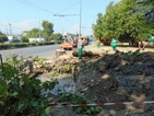 Дърво спука водопровод в Пловдив, отсякоха го
