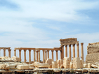 Джихадисти са обезглавили пазителя на Палмира