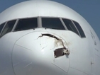 Щъркели се блъснаха в самолет, причиниха аварийно кацане