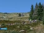 5000 души се качиха на Черни връх "по стъпките на Алеко"