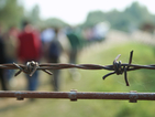 Бизнес с човешки съдби: Нова по пътя на бежанците през България