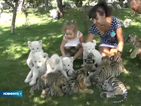 Зоопарк в Крим пусна редки животни сред посетителите